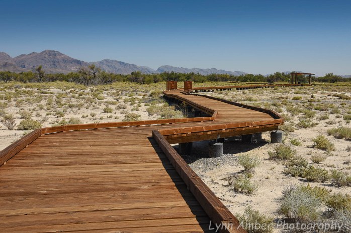 GAO act blog photos (1 of 3)