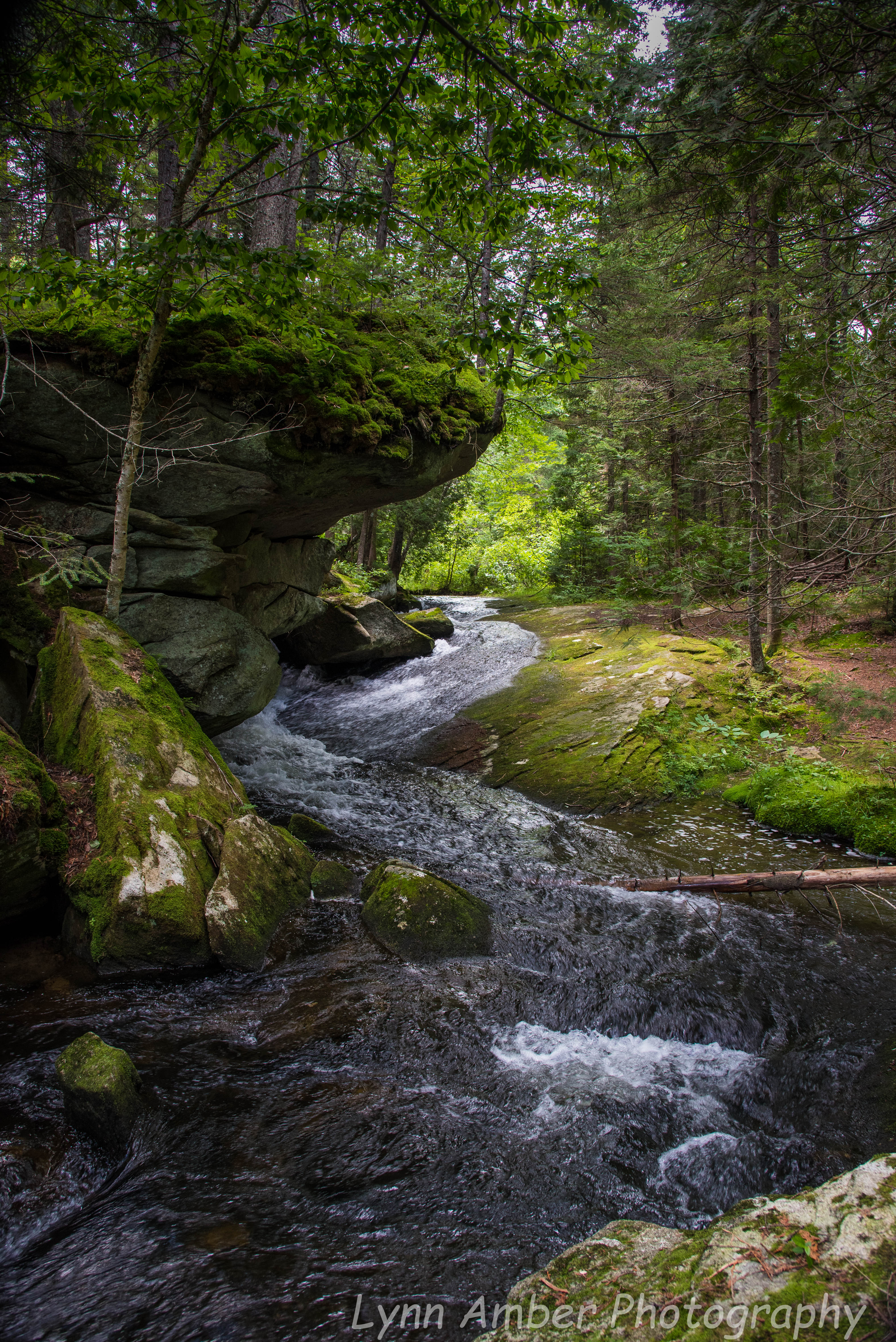 Hanging Rock Trail 3