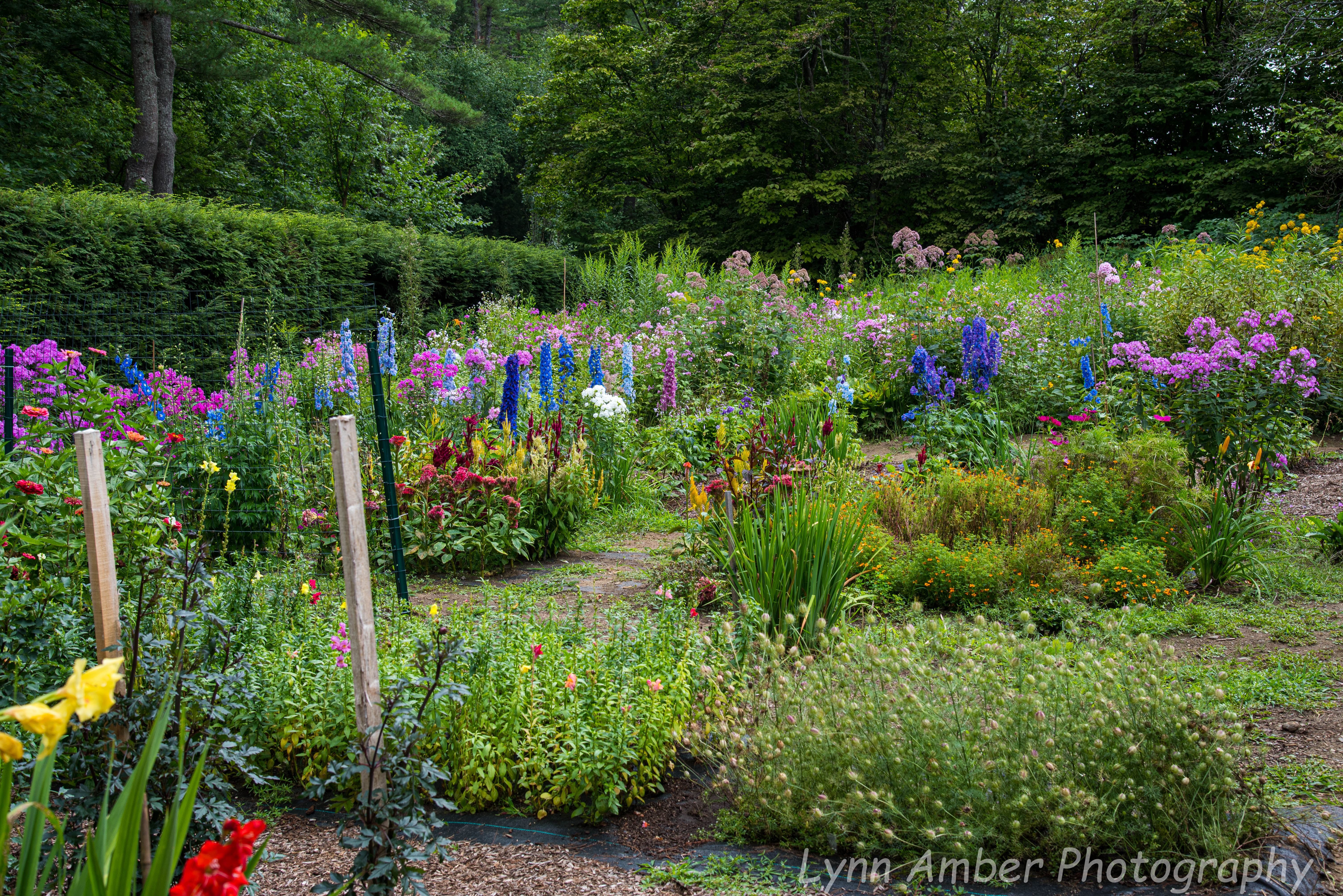 Saint Gaudens NHP (12 of 20)
