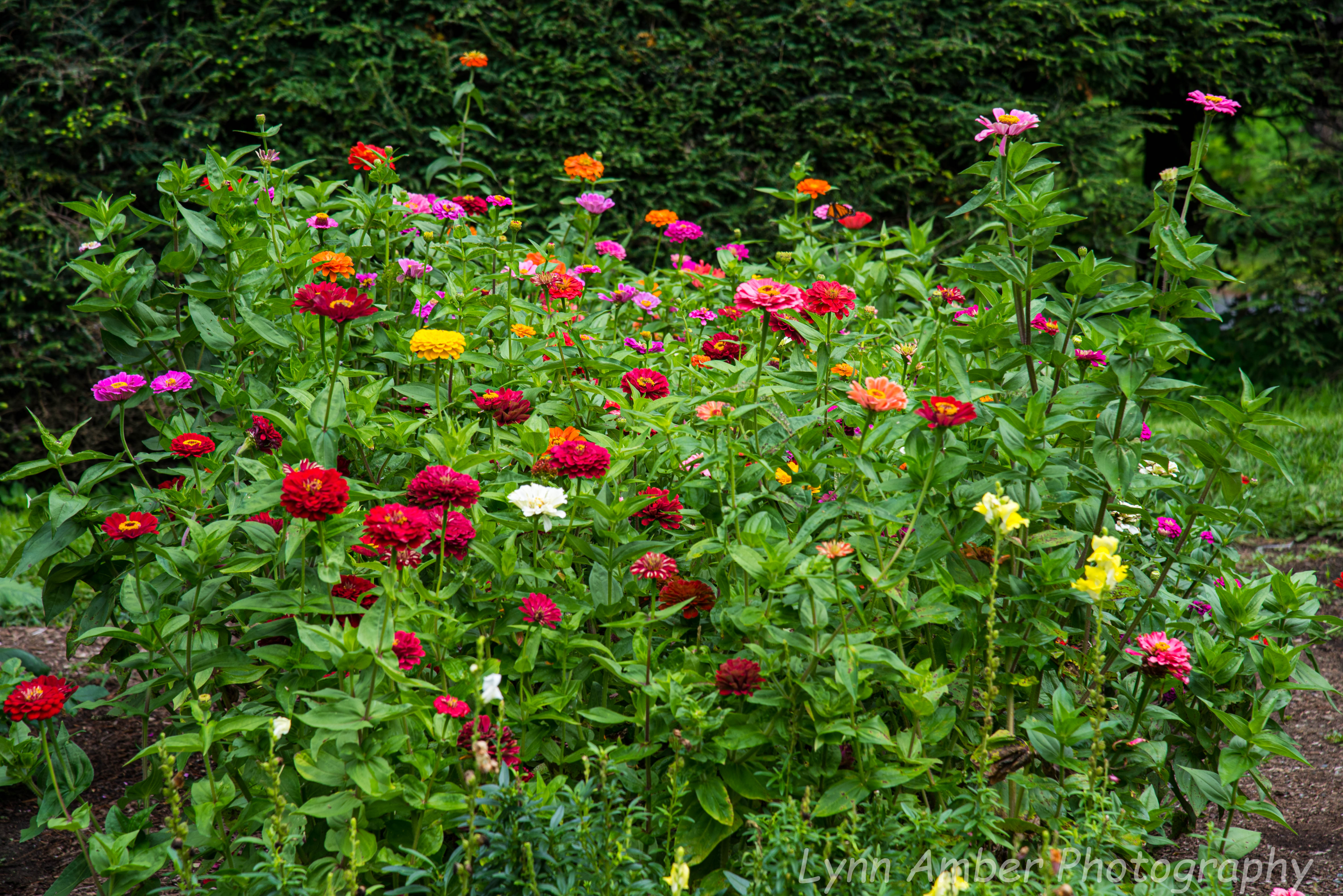 Saint Gaudens NHP (13 of 20)