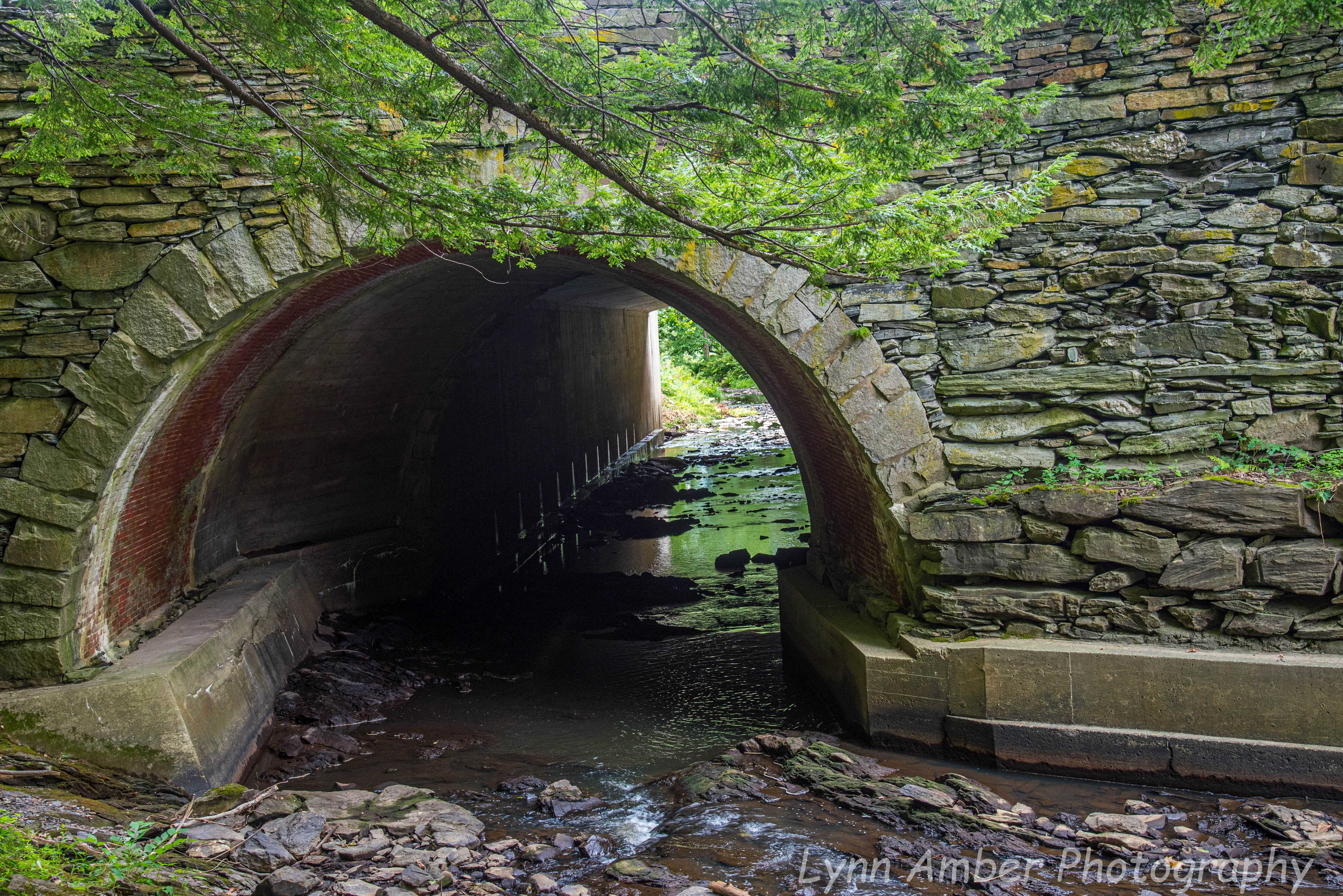 Saint Gaudens NHP (19 of 20)