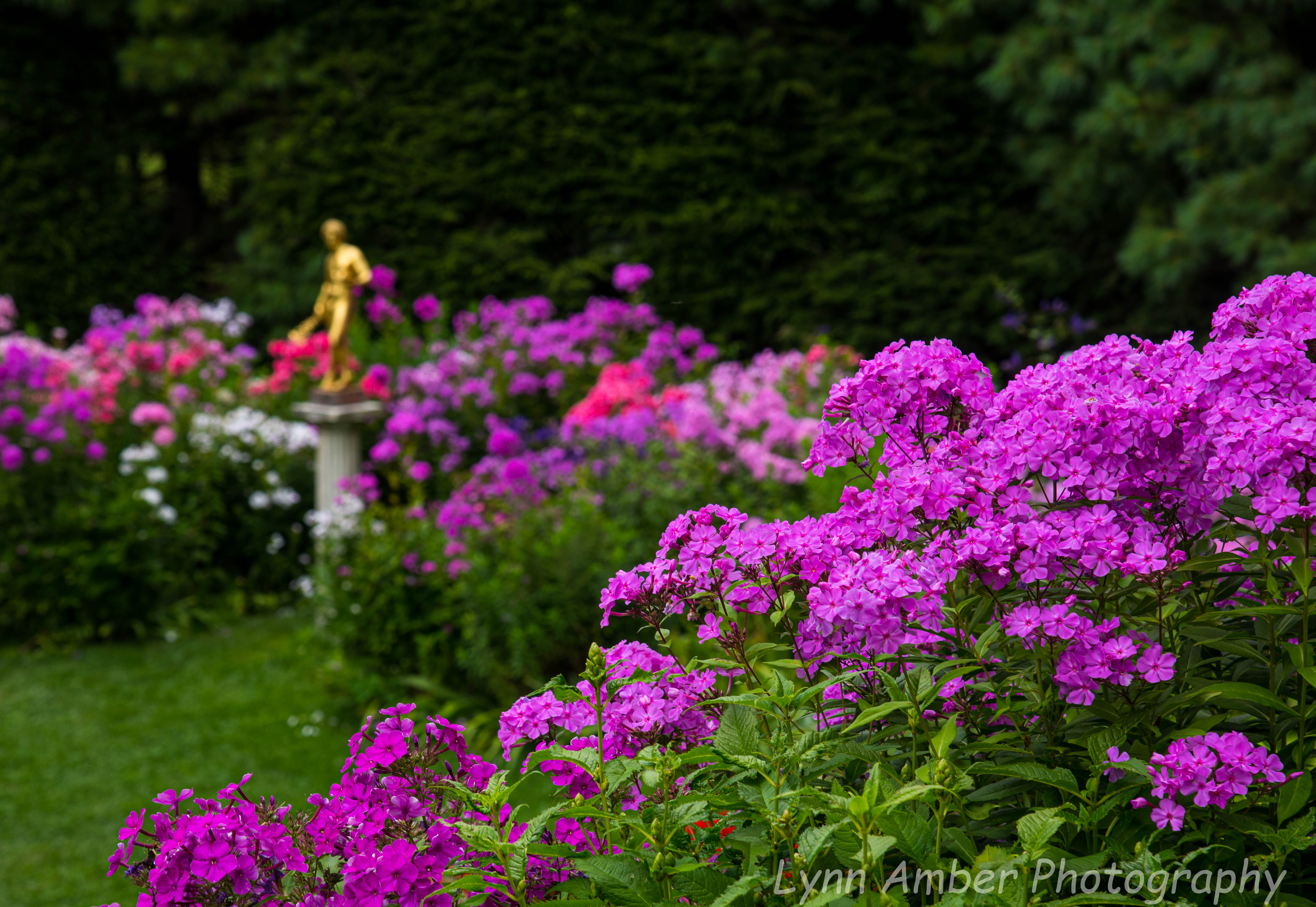 Saint Gaudens NHP (3 of 20)