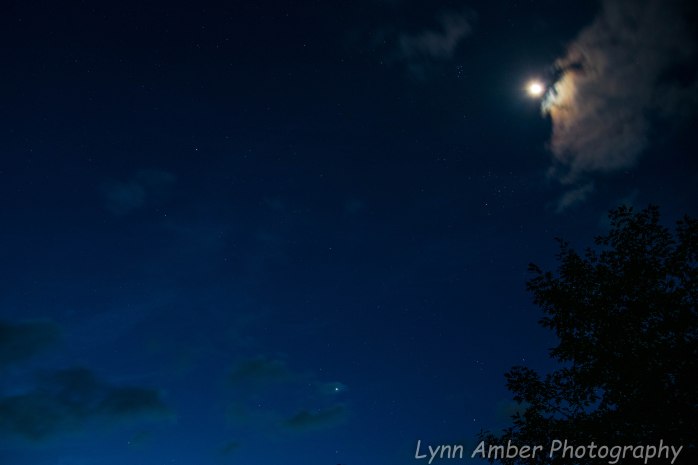 Wood Splitting Blog (1 of 4)