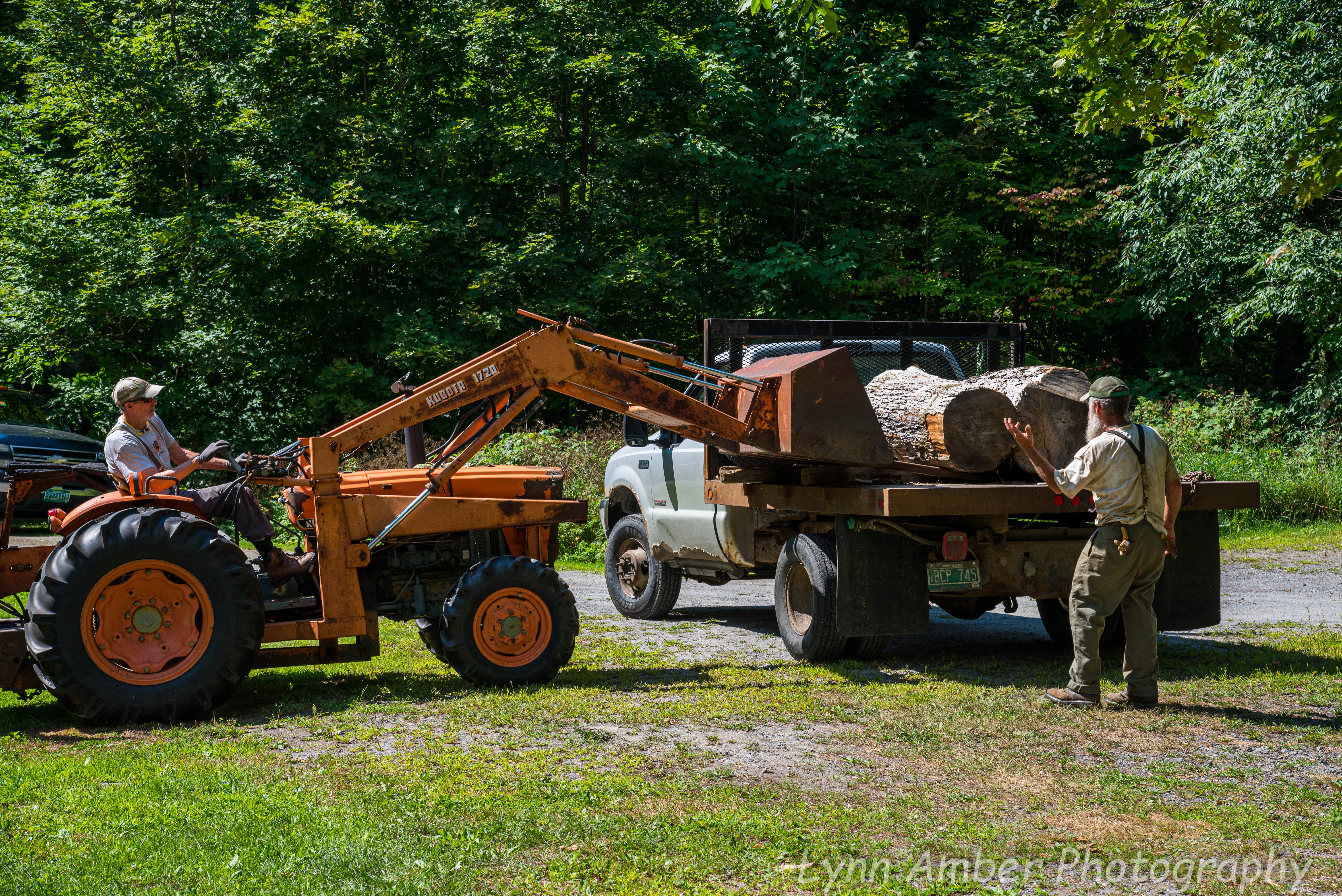 Wood Splitting Blog (3 of 11)