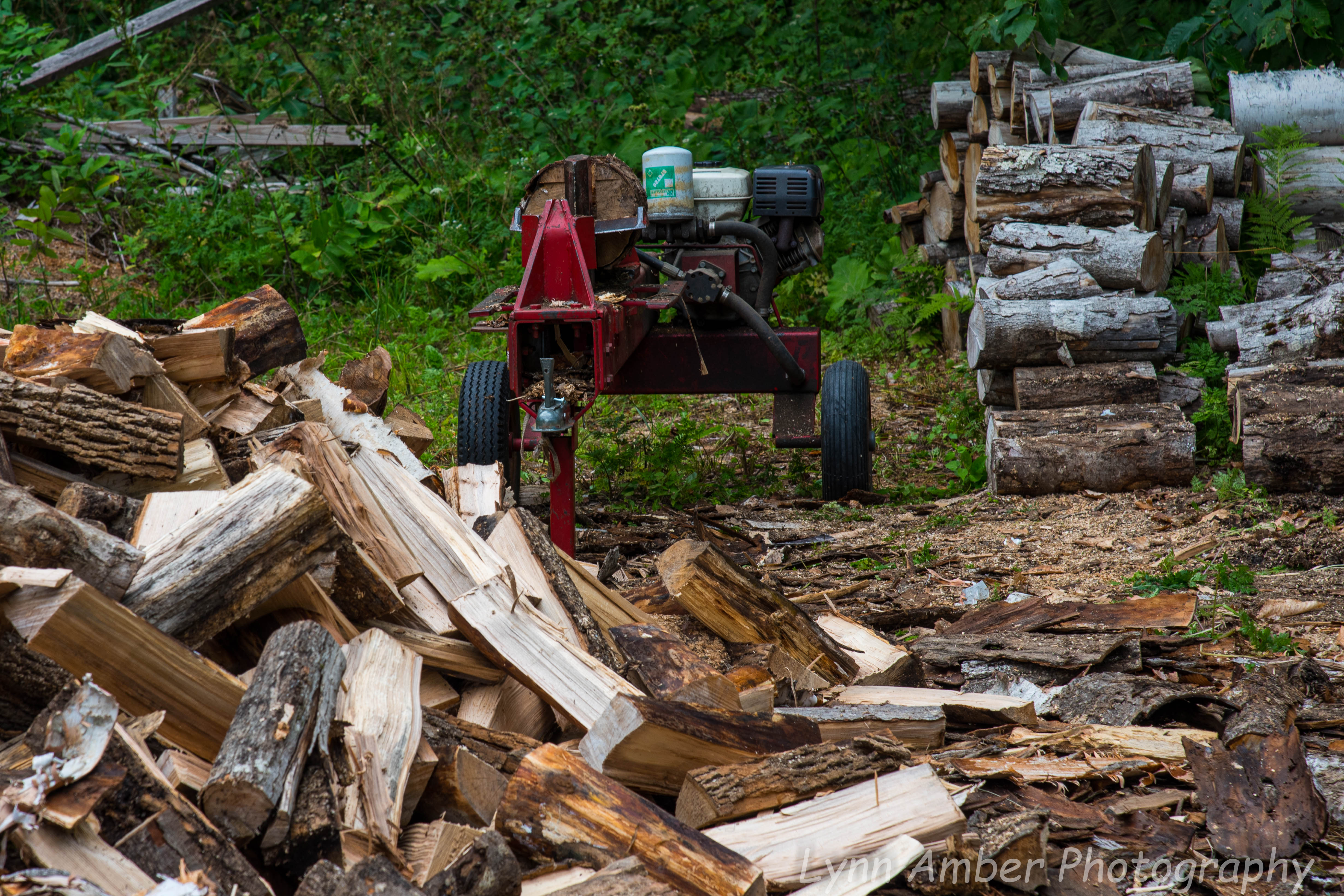 Wood Splitting Blog (3 of 4)