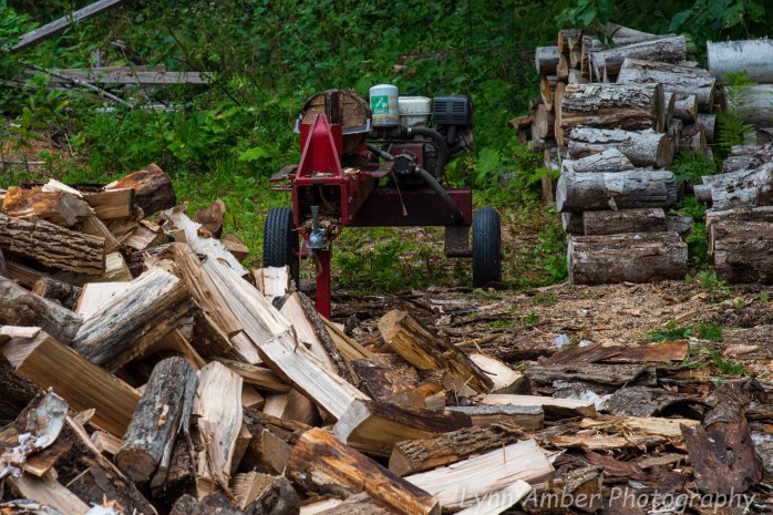 Wood Splitting Blog (3 of 4)