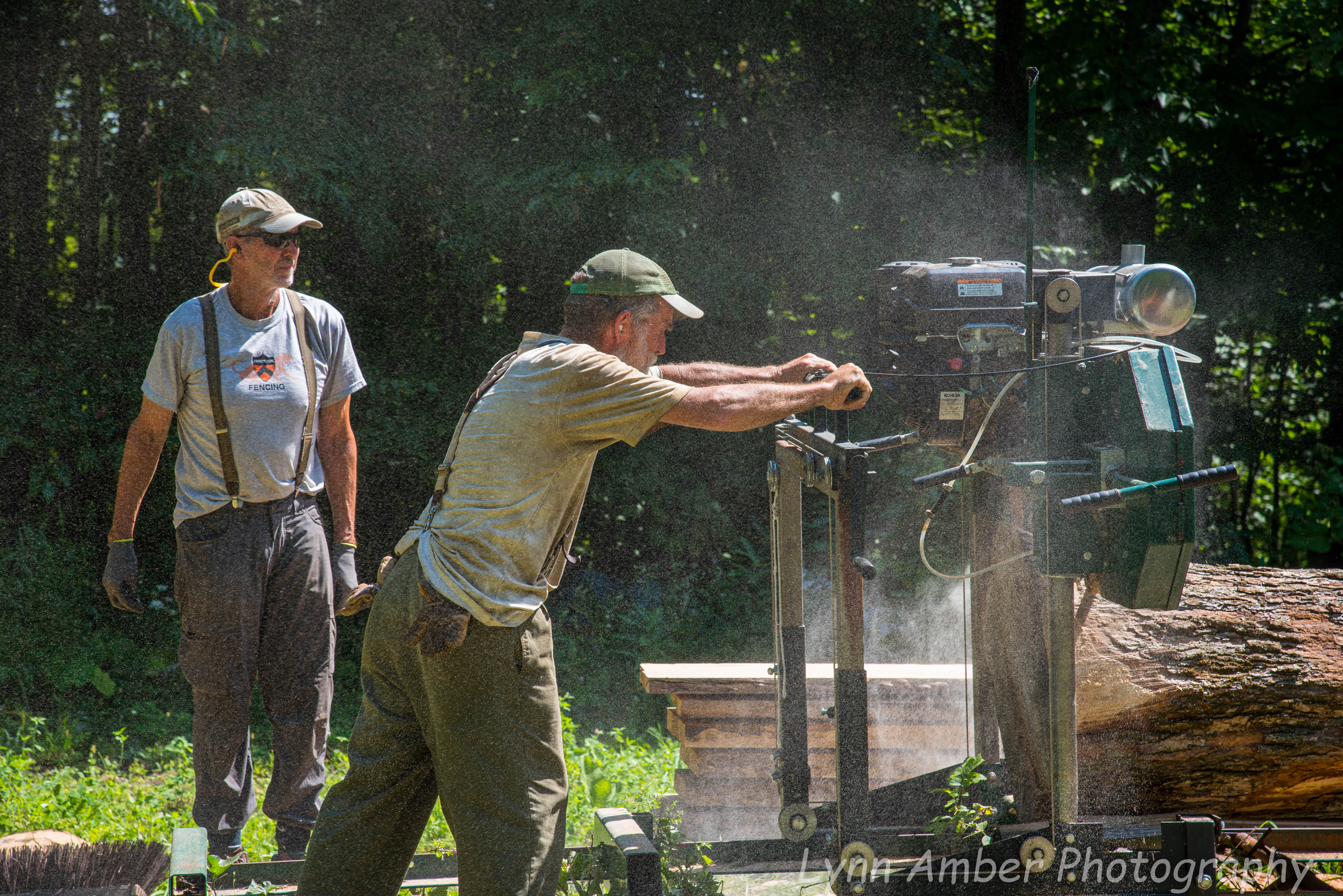 Wood Splitting Blog (5 of 11)