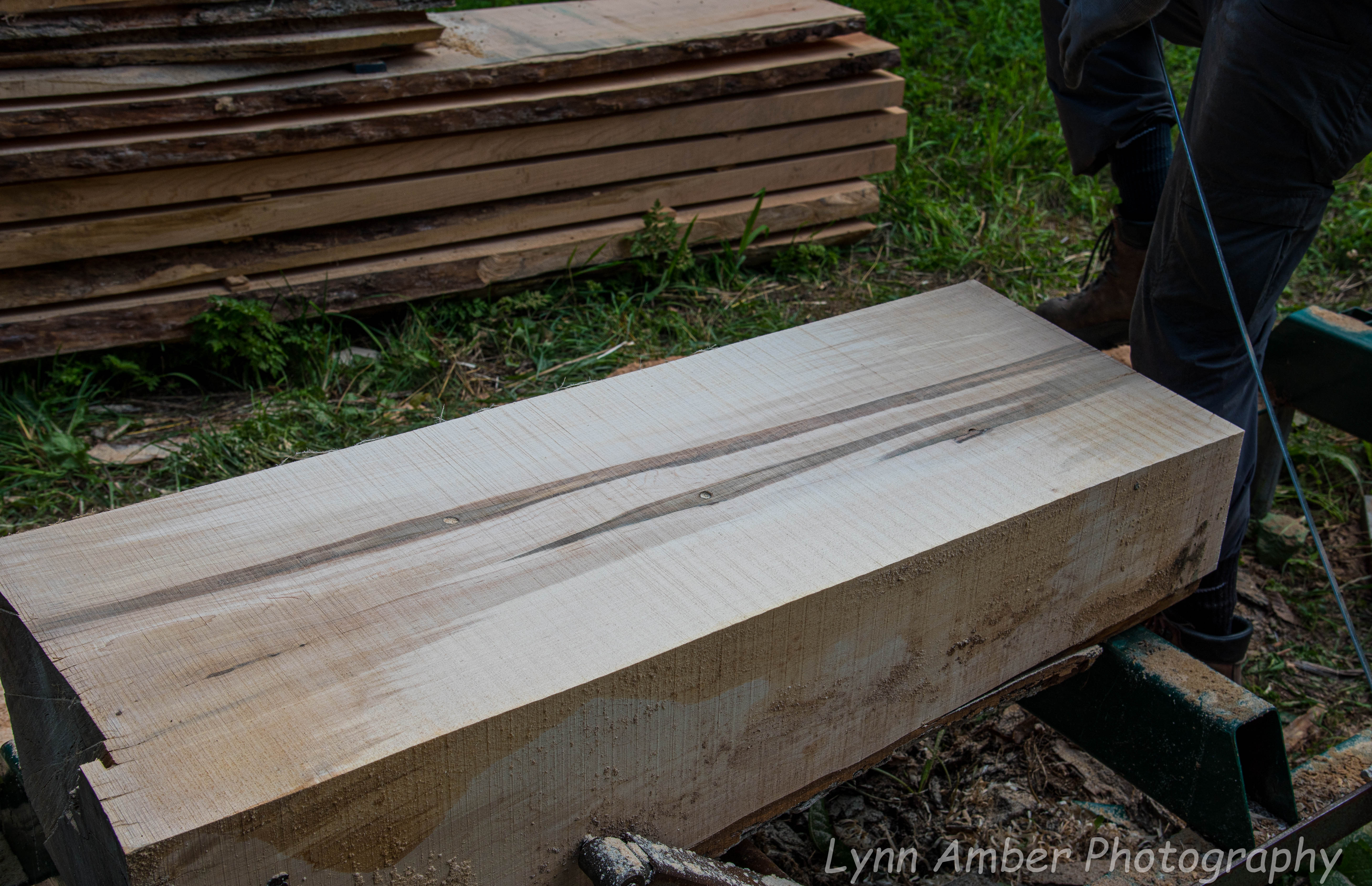 Wood Splitting Blog (9 of 11)